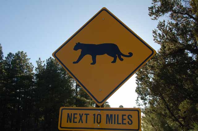 mountain lion sign